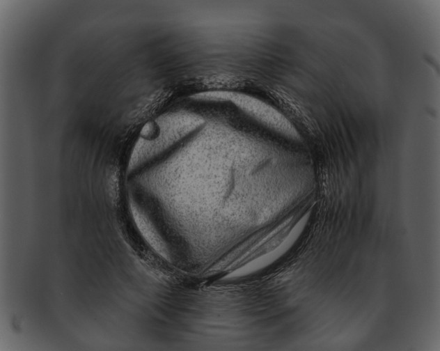 X0000093100690200710171201