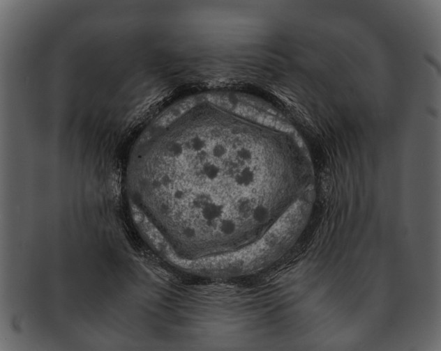 X0000093100691200710171201