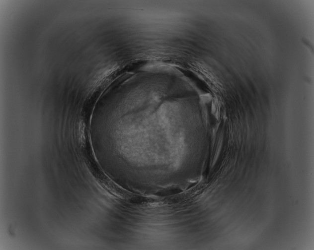 X0000093100692200710171201