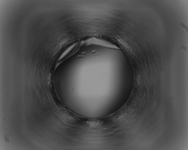 X0000093100693200710171201