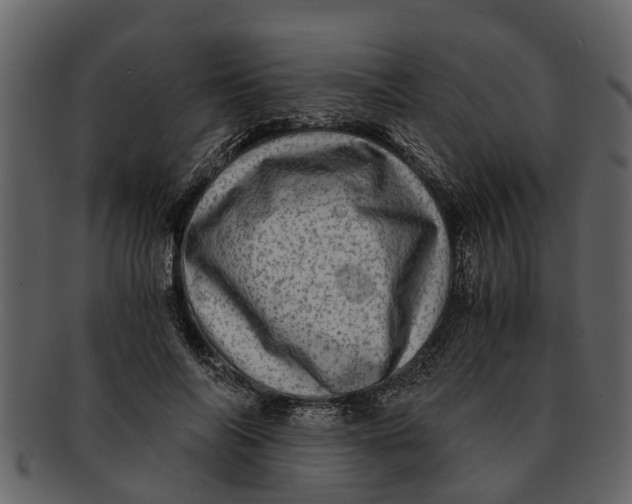 X0000093100694200710171201