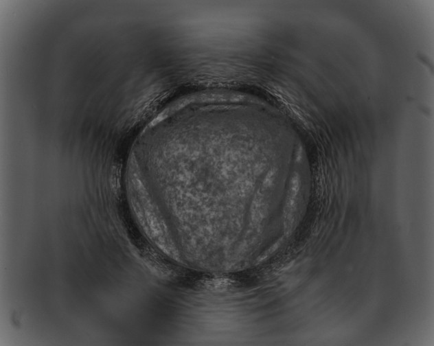 X0000093100695200710171201