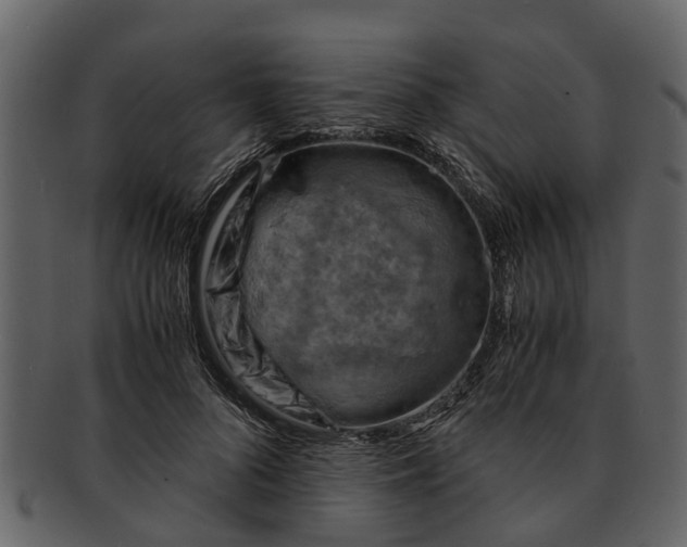 X0000093100696200710171201
