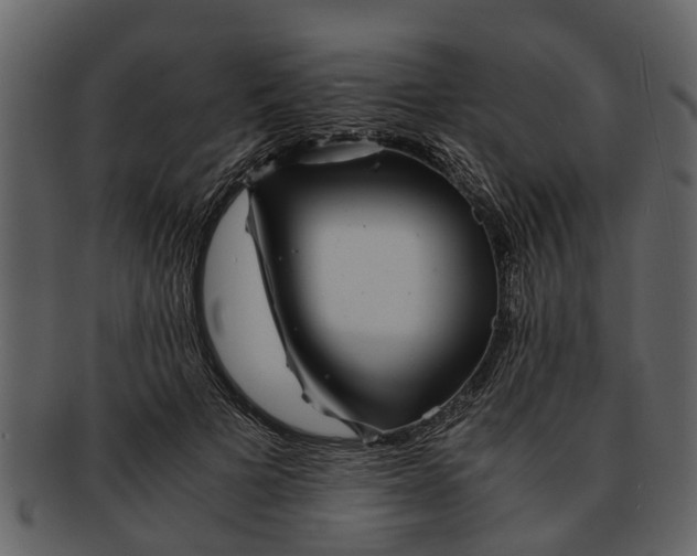 X0000093100697200710171201