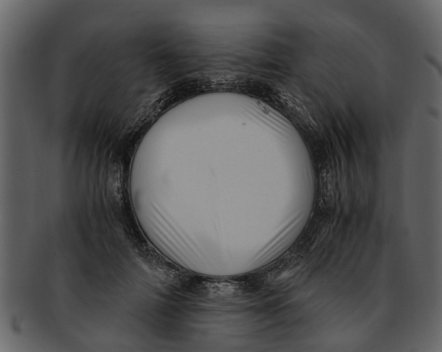 X0000093100698200710171201