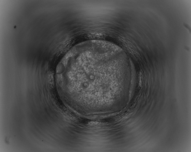 X0000093100699200710171201