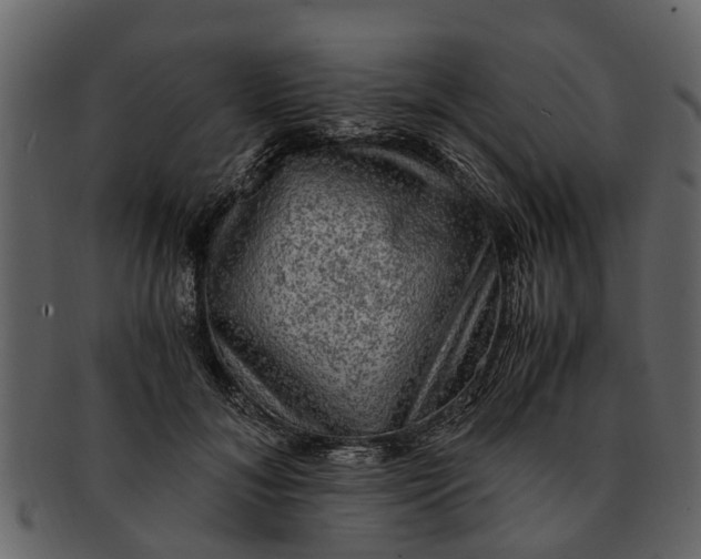 X0000093100700200710171201