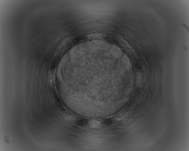 X0000093100701200710171201