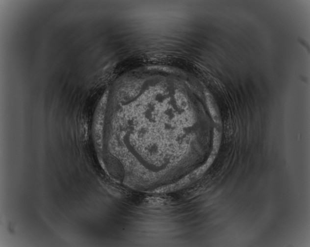 X0000093100703200710171201
