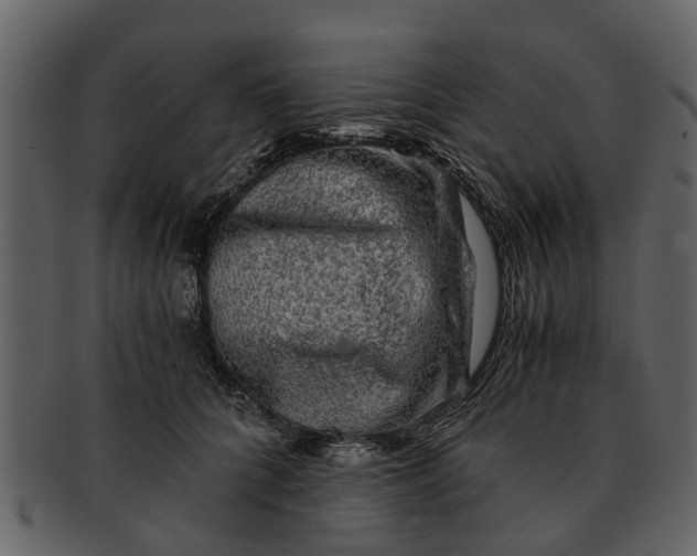 X0000093100704200710171201