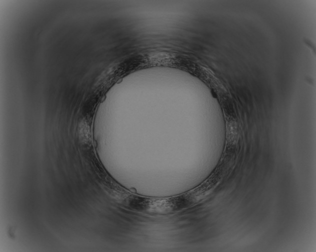 X0000093100705200710171201