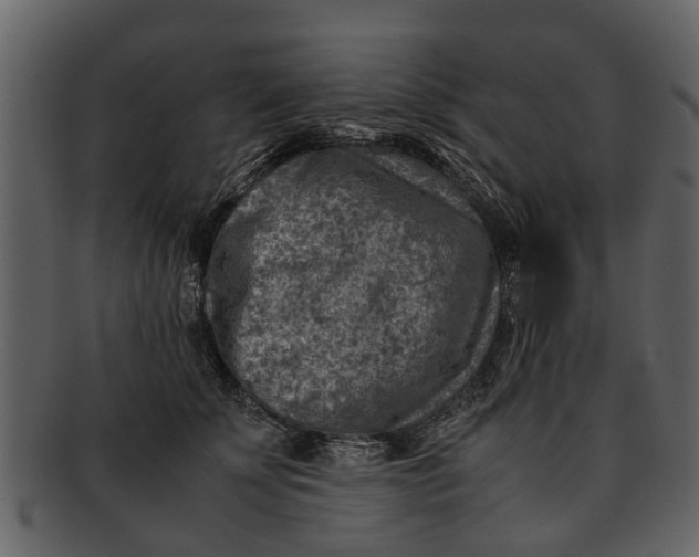 X0000093100707200710171201