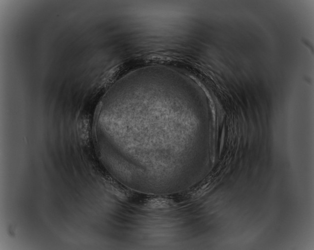 X0000093100708200710171201
