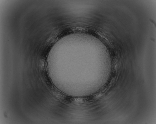 X0000093100709200710171201