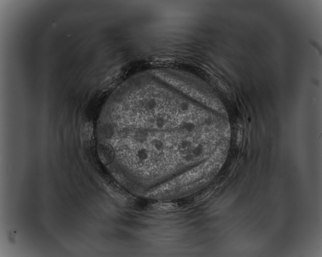 X0000093100711200710171201