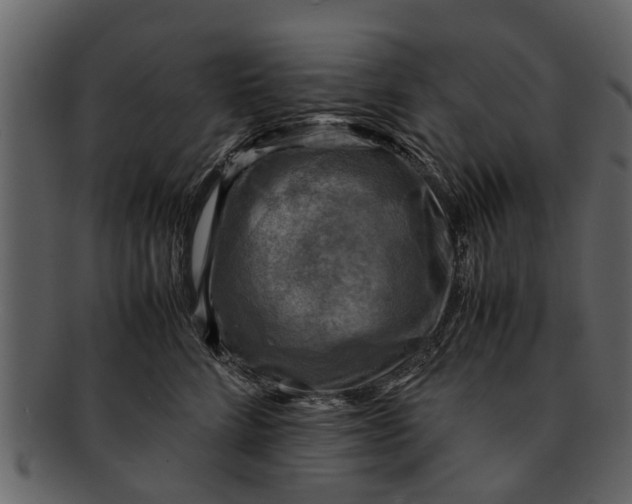 X0000093100712200710171201