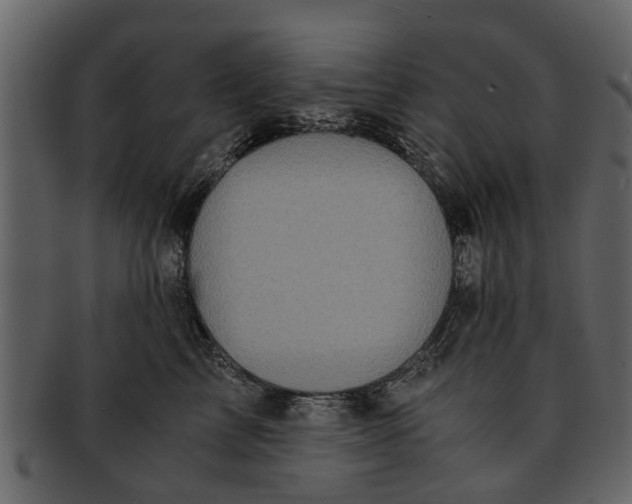 X0000093100713200710171201