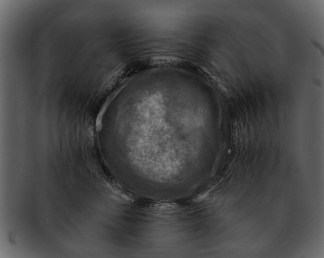 X0000093100716200710171201