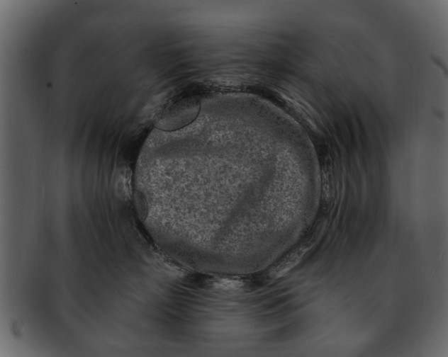 X0000093100718200710171201