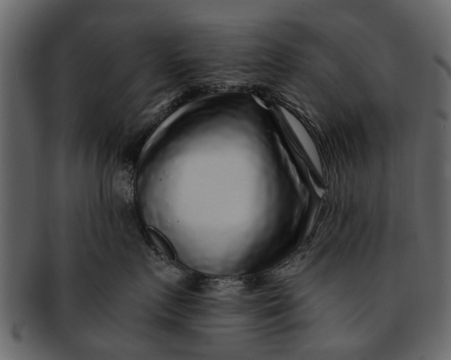 X0000093100719200710171201