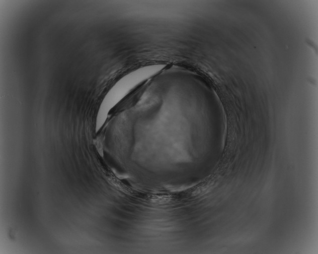 X0000093100720200710171201