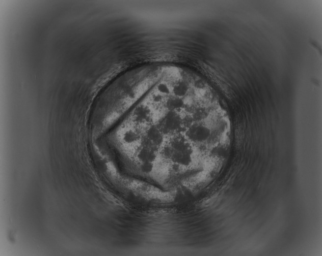 X0000093100721200710171200