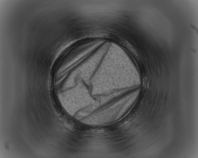 X0000093100724200710171200