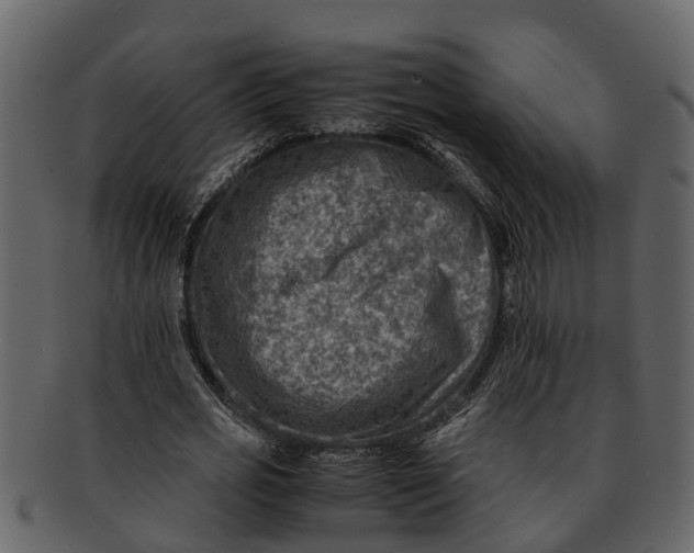 X0000093100725200710171200
