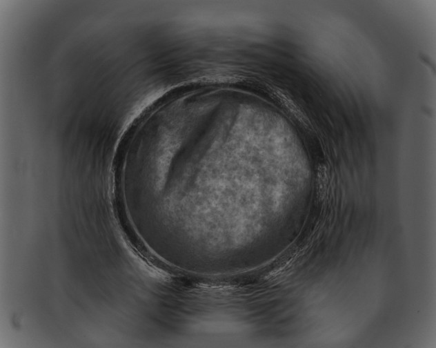 X0000093100726200710171200