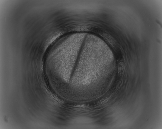 X0000093100727200710171200