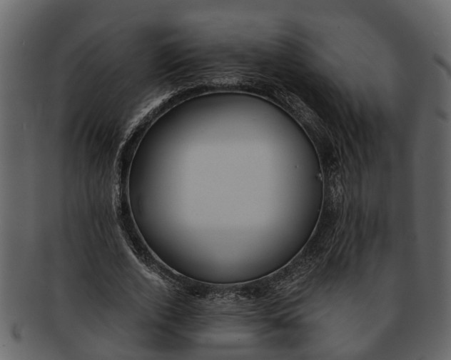 X0000093100728200710171200