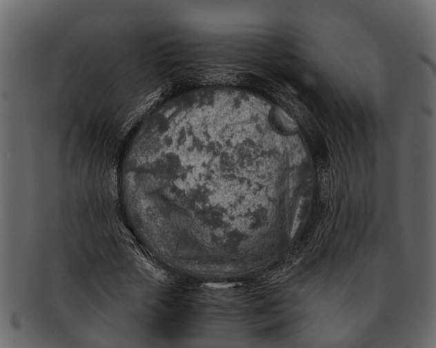 X0000093100729200710171200