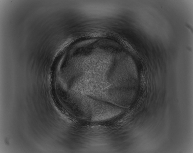 X0000093100730200710171200