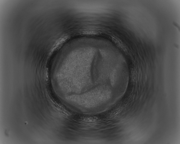 X0000093100731200710171200