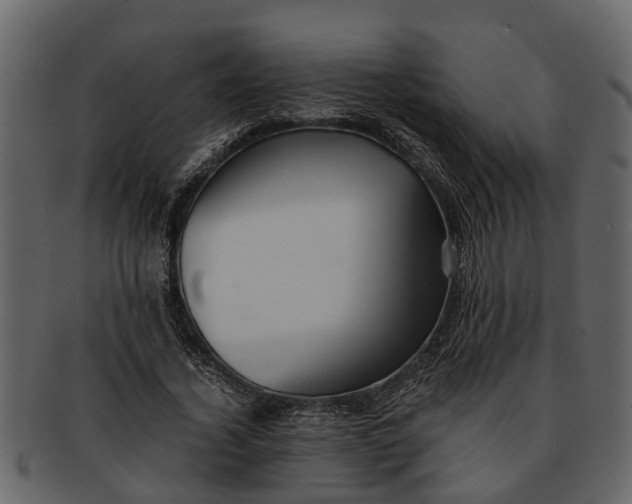 X0000093100732200710171200