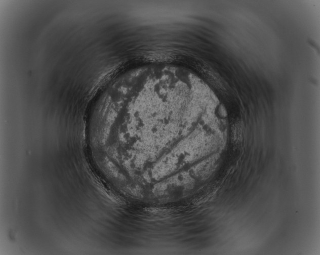 X0000093100733200710171200