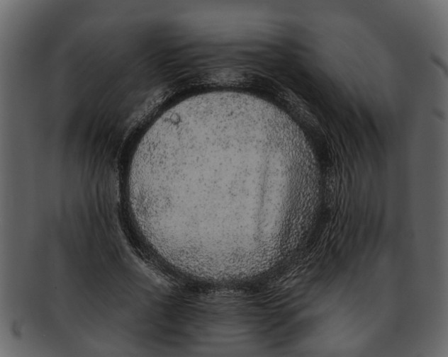 X0000093100734200710171200