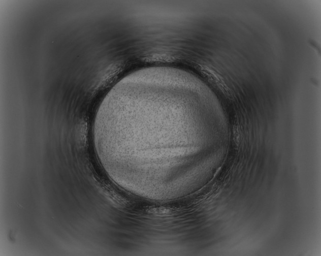 X0000093100735200710171200