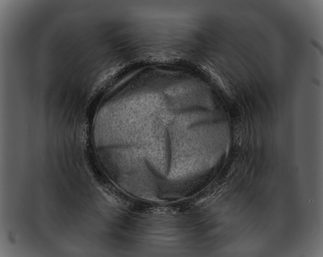 X0000093100736200710171200