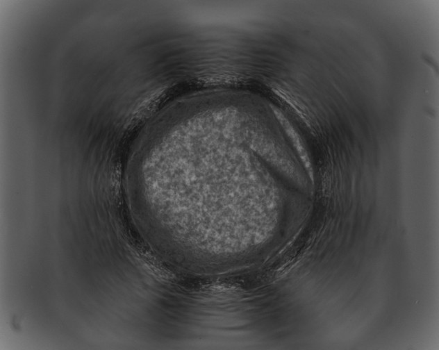 X0000093100737200710171200