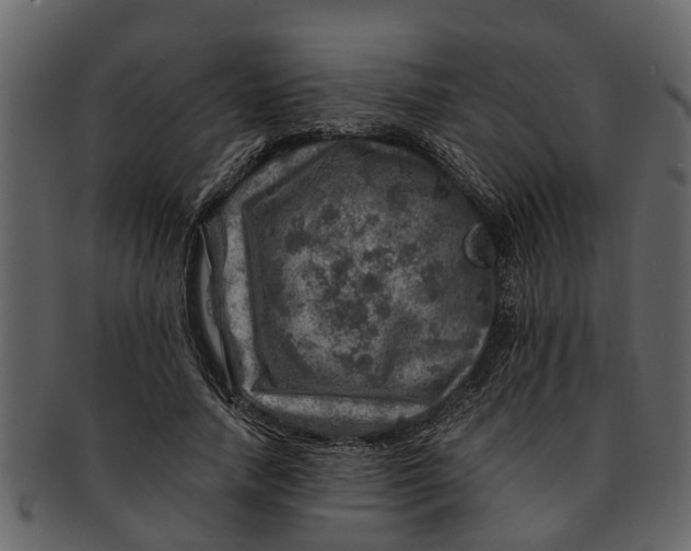 X0000093100738200710171200