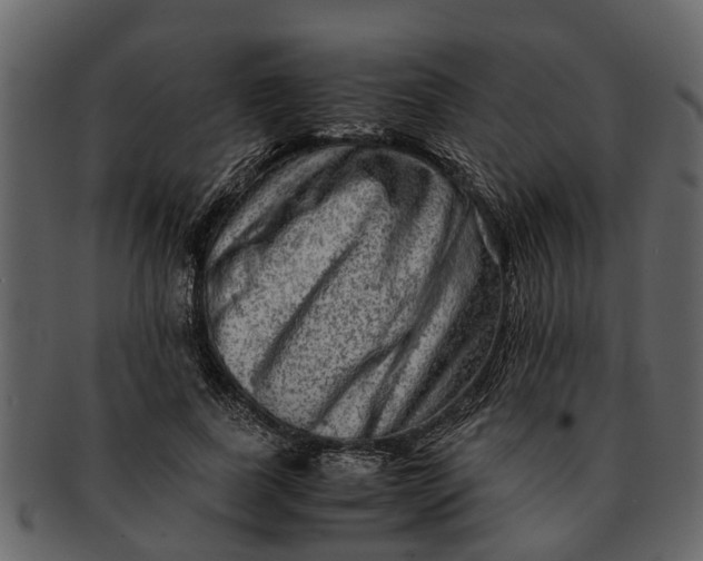 X0000093100739200710171200