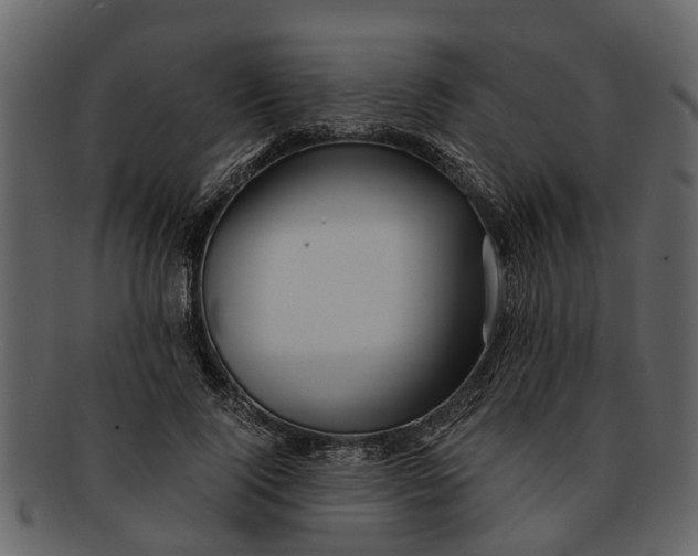 X0000093100740200710171200