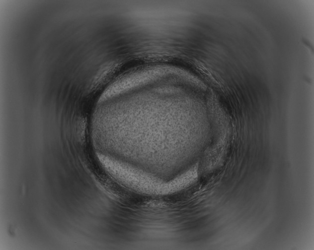 X0000093100742200710171200