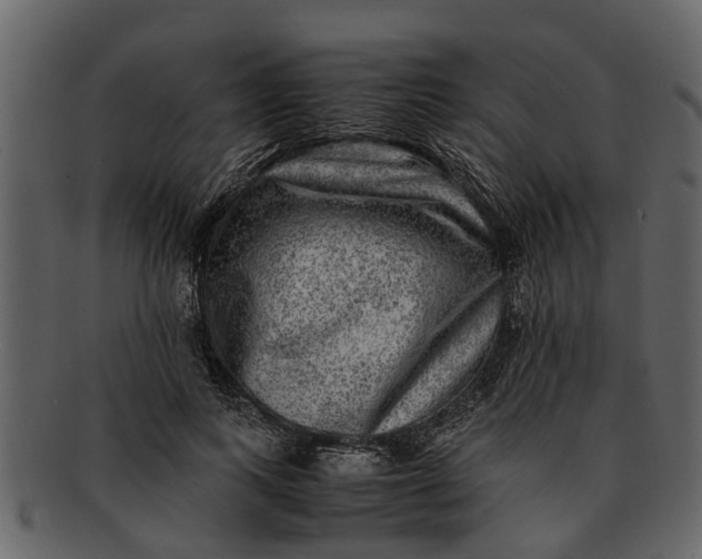 X0000093100743200710171200