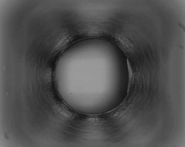 X0000093100744200710171200