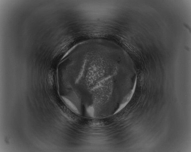 X0000093100746200710171200