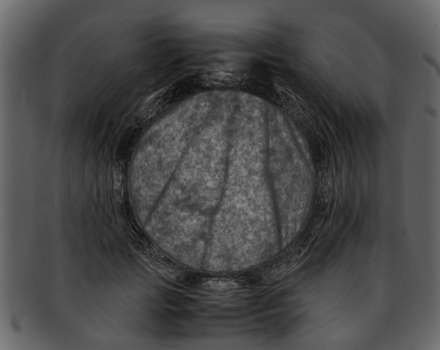 X0000093100749200710171200