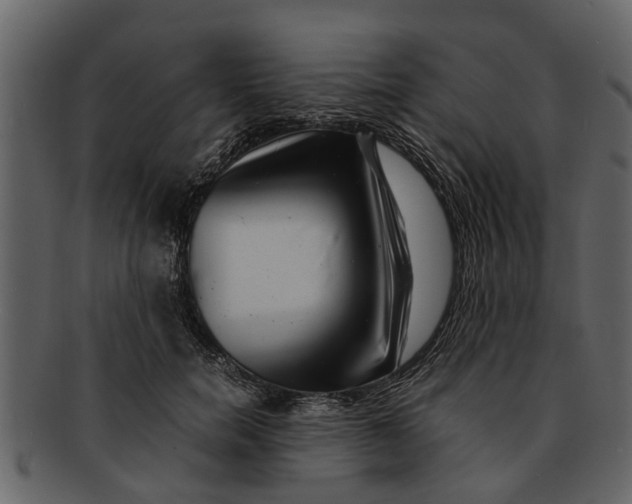 X0000093100750200710171200