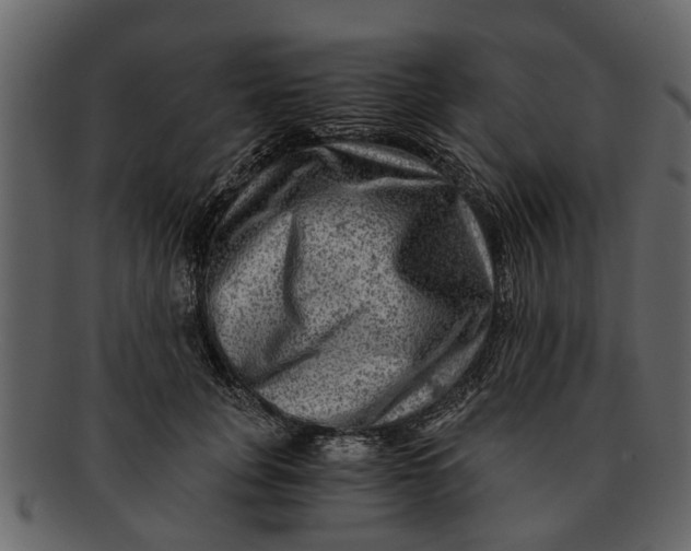 X0000093100751200710171200